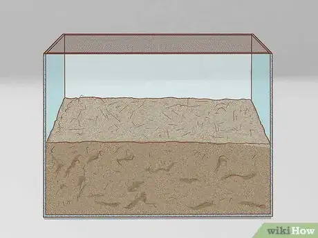 Imagen titulada Set Up a Natural Environment for Pet Snails Step 3