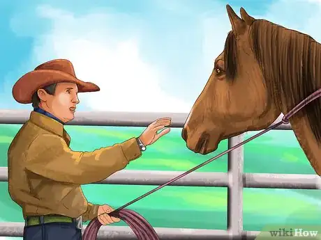 Imagen titulada Bond With Your Horse Using Natural Horsemanship Step 12