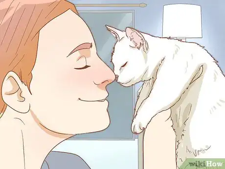 Imagen titulada Get a Kitten to Fall Asleep Step 11