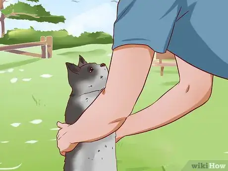 Imagen titulada Get a Cat out of a Tree Step 18