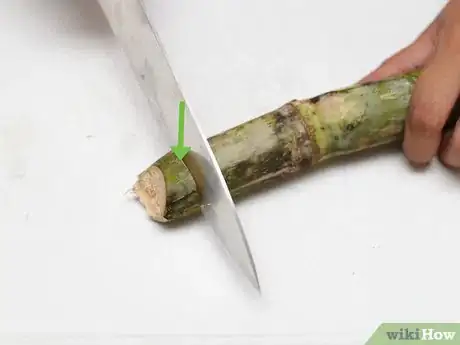 Imagen titulada Eat a Sugar Cane Step 4