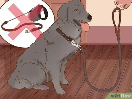 Imagen titulada Stop a Dog from Pulling on Its Leash Step 2