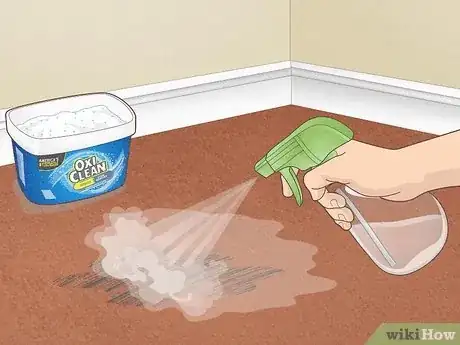Imagen titulada Use Oxiclean Step 3