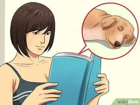 Imagen titulada Know if Your Dog Is Dreaming Step 1