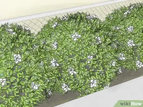 Imagen titulada Hide a Fence Step 2