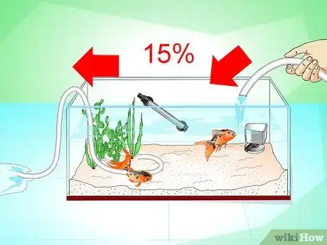 Imagen titulada Save a Dying Goldfish Step 3