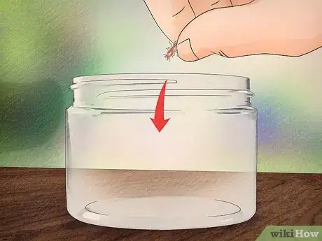 Imagen titulada Identify a Termite Step 1