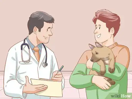 Imagen titulada Care for a Belgian Malinois Step 19