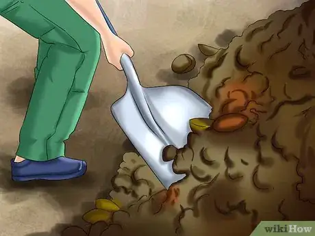Imagen titulada Plant a Picture Perfect Garden in Under 30 Days Step 1