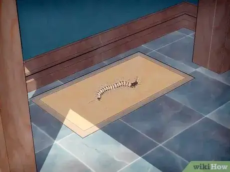 Imagen titulada Get Rid of Centipedes Step 2