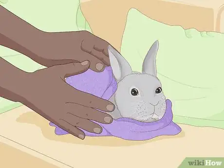 Imagen titulada Care for an Injured Rabbit Step 5