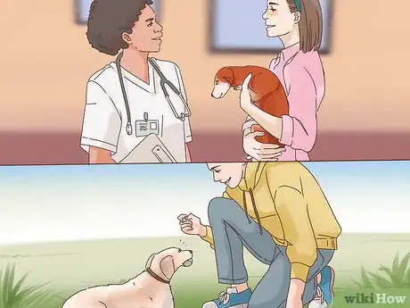 Imagen titulada Determine if You Should Euthanize Your Dog Step 6