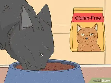 Imagen titulada Help a Cat with Epileptic Seizures Step 11