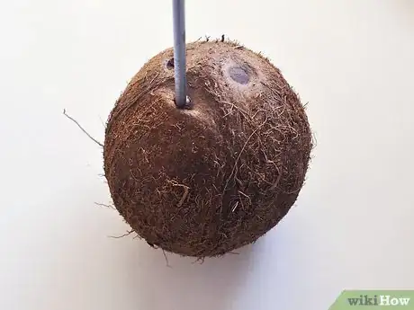 Imagen titulada Make Coconut Flour Step 1