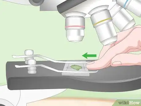 Imagen titulada Use a Light Microscope Step 4