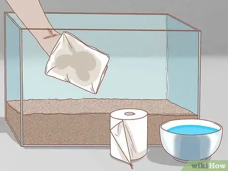 Imagen titulada Set Up a Natural Environment for Pet Snails Step 11