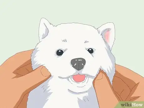 Imagen titulada Pet a Dog Step 17