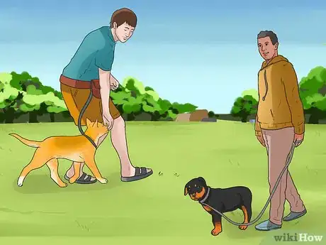 Imagen titulada Start Walking Your Puppy Step 15