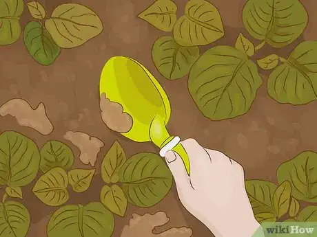 Imagen titulada Compost Indoors Step 39