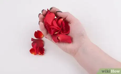 Imagen titulada Make Rose Tea Step 1