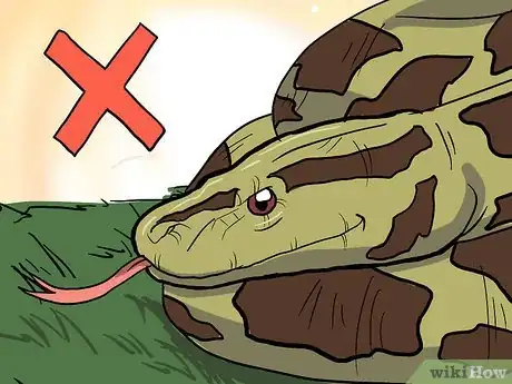 Imagen titulada Choose Your First Pet Snake Step 5