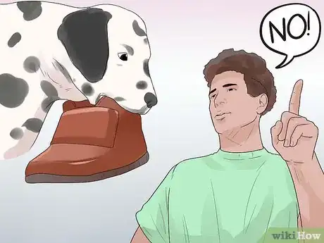 Imagen titulada Train Dalmatians Step 7