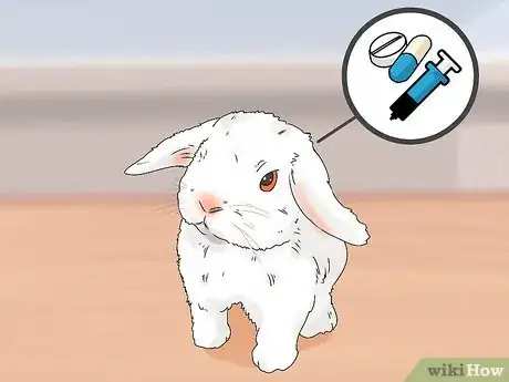 Imagen titulada Tell if Your Rabbit Has Weepy Eye Step 9
