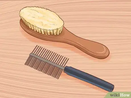 Imagen titulada Care for a Toy Poodle Step 7