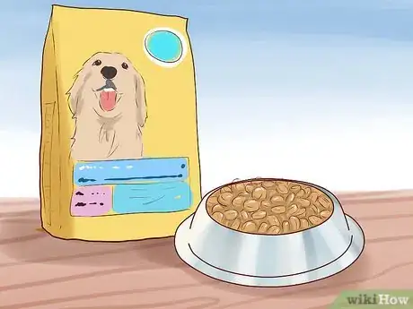 Imagen titulada Care for a Toy Poodle Step 2