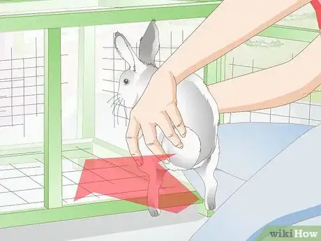 Imagen titulada Clean a Rabbit Cage Step 16