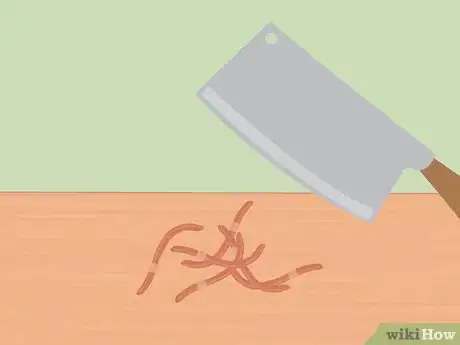 Imagen titulada Eat Worms Step 4