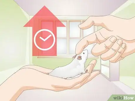 Imagen titulada Tame a Mouse Step 11