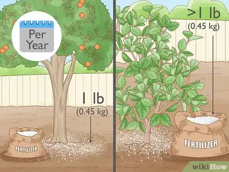 Imagen titulada Fertilize a Citrus Tree Step 8