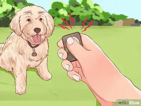 Imagen titulada Stop a Dog from Pulling on Its Leash Step 6
