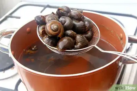 Imagen titulada Prepare Escargot Step 5