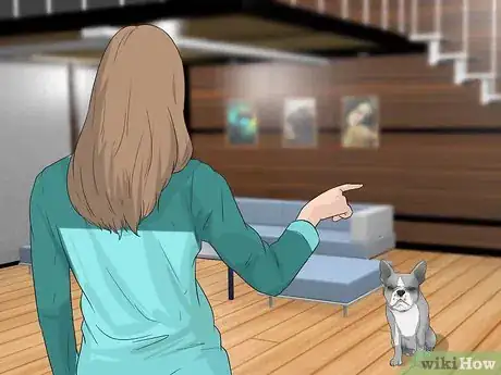 Imagen titulada Train Boston Terriers Step 5