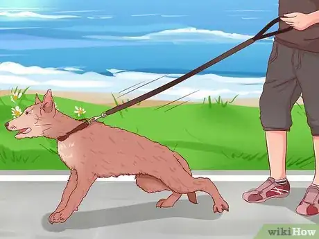Imagen titulada Stop a Dog from Pulling on Its Leash Step 3