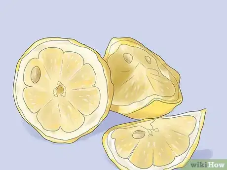 Imagen titulada Plant a Lemon Seed Step 1