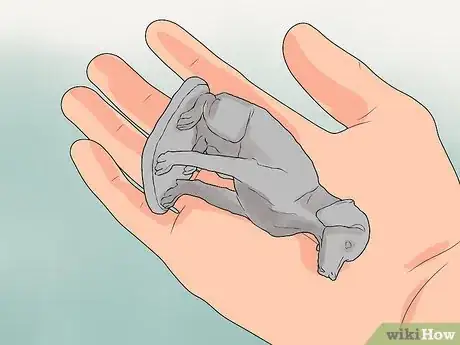 Imagen titulada Make a Pet Grave Marker Step 18