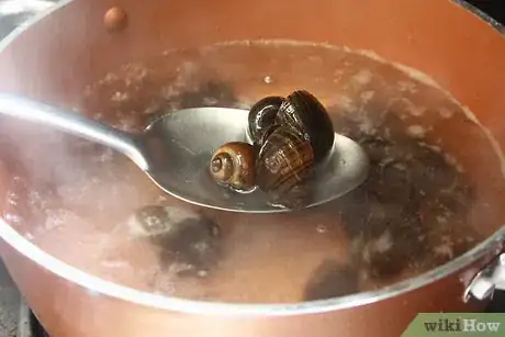 Imagen titulada Prepare Escargot Step 4