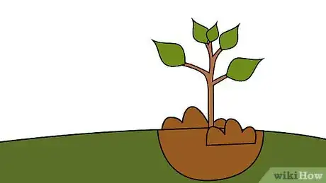 Imagen titulada Plant a Tree Step 16