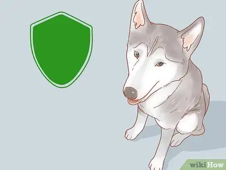 Imagen titulada Know if a Male Dog Is Fertile Step 2