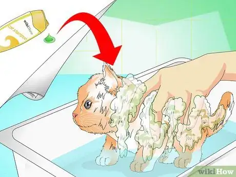 Imagen titulada Give a Kitten a Bath Step 11