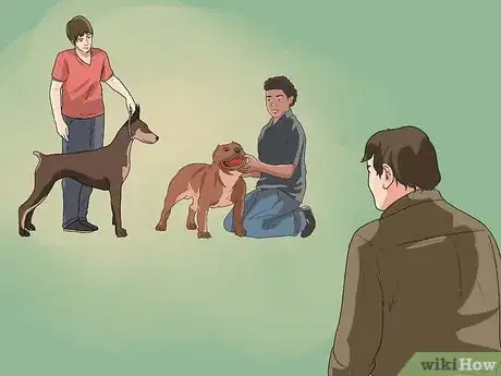 Imagen titulada Breed Dachshunds Step 4