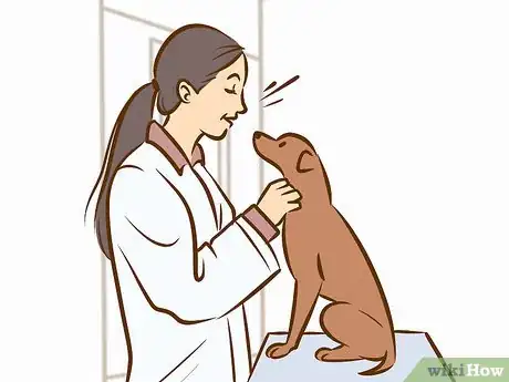 Imagen titulada Persuade Your Parents to Get a Dog Step 18