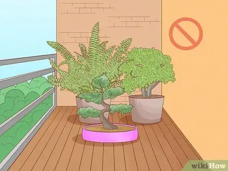 Imagen titulada Choose Plants for Good Feng Shui Step 14