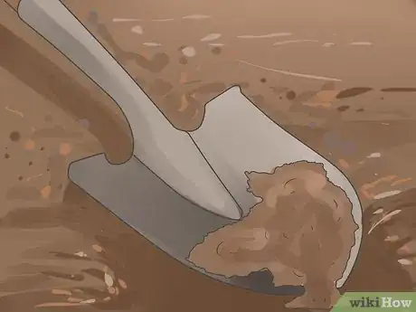 Imagen titulada Care for an Orchid Indoors Step 3