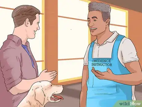 Imagen titulada Deal with Your Annoying Dog Step 11