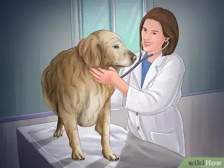 Imagen titulada Help Your Dog After Giving Birth Step 1