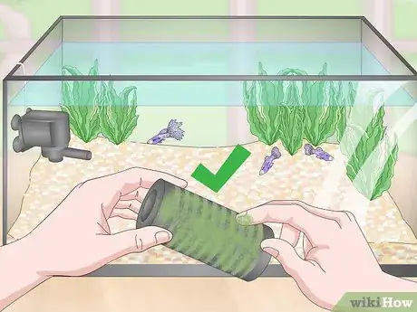 Imagen titulada Lower Your Nitrate_Nitrite Levels in Your Fish Tank Step 10